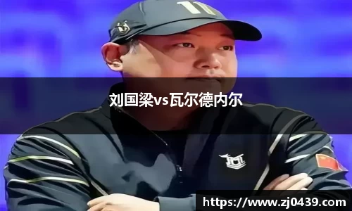 刘国梁vs瓦尔德内尔
