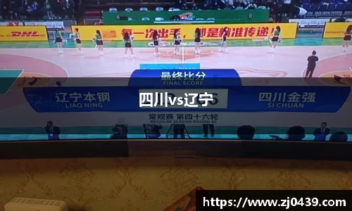 四川vs辽宁