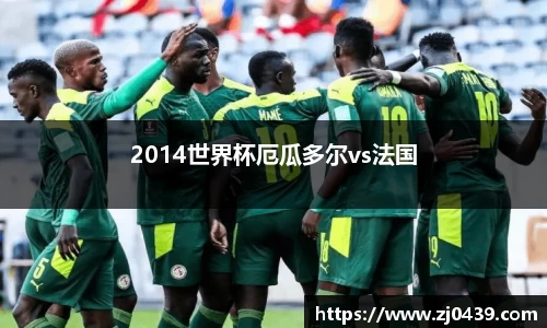 2014世界杯厄瓜多尔vs法国