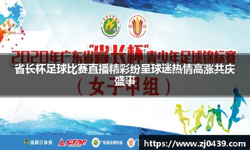 省长杯足球比赛直播精彩纷呈球迷热情高涨共庆盛事