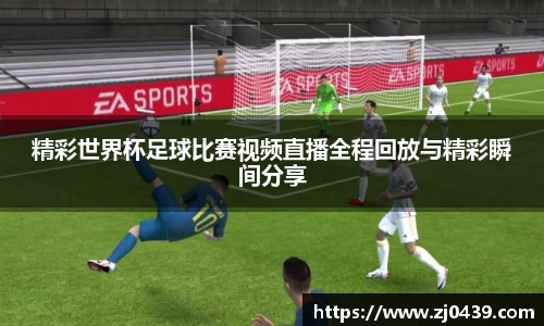精彩世界杯足球比赛视频直播全程回放与精彩瞬间分享